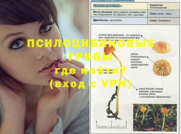 мяу мяу кристалл Вяземский