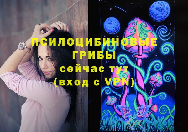 мяу мяу кристалл Вяземский